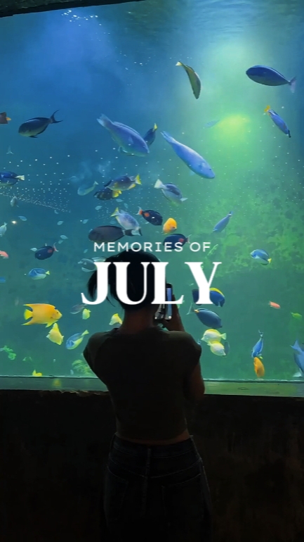 SOUVENIRS DE JUILLET