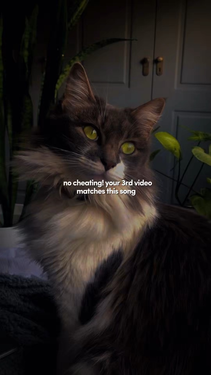 YOUR THIRD VIDEO