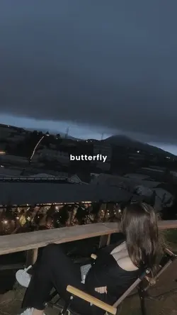 BUTTERFLY