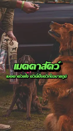 เมตตาสัตว์