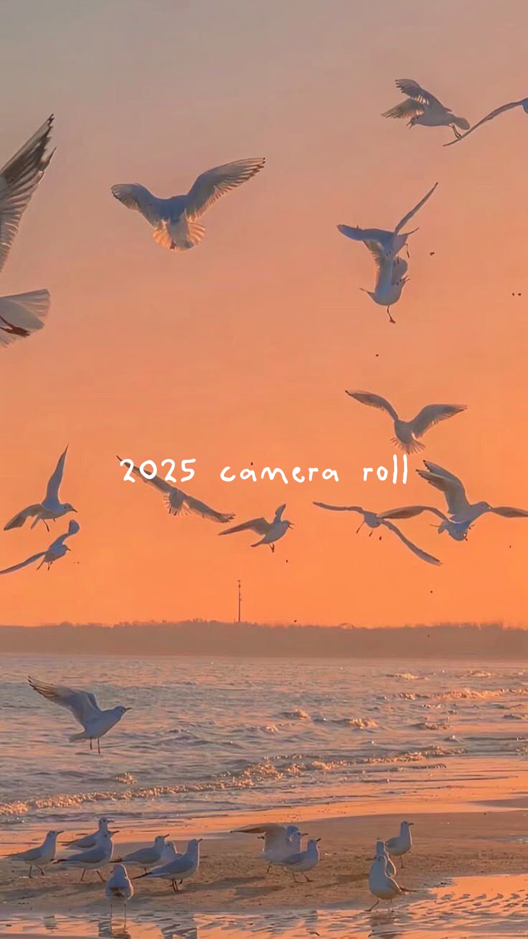 2025 camera roll