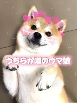 うちらが噂のウマ娘