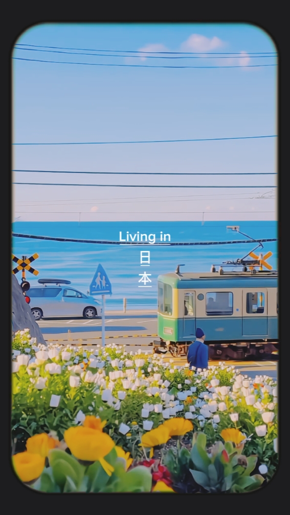 Viviendo en Japón 