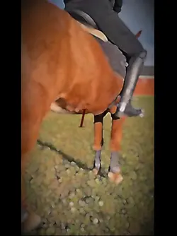 shoot the lights out