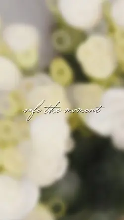 Safe the Moment 