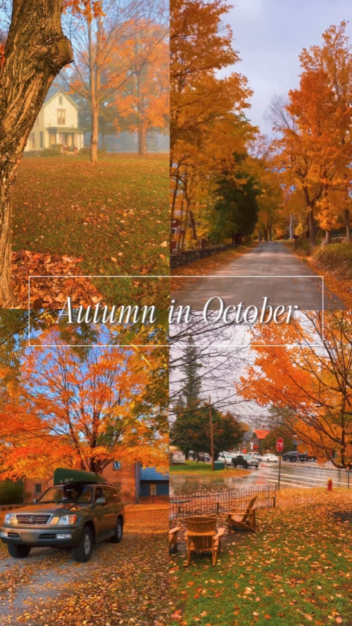 automne en octobre