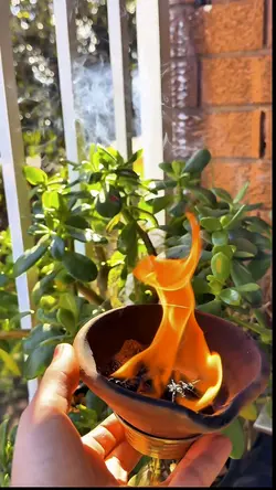 हरिशयनी एकादशी 🙏❤️#🇳🇵