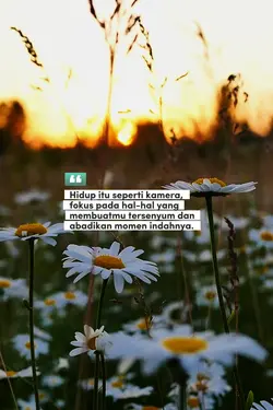 Hidup seperti kamera