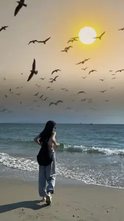 นกบินบนท้องฟ้า