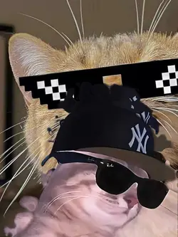 Cool Beat Transition