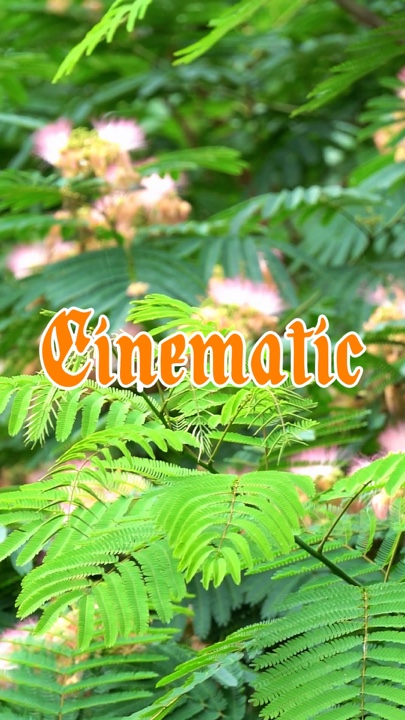 Cinematic 3 video