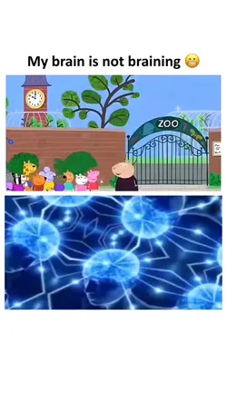 Maybe it's human zoo