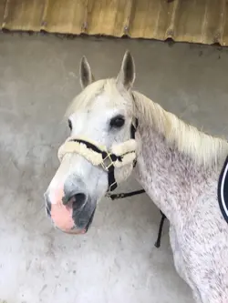 ⚠️mon avis ⚠️