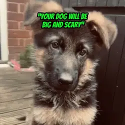 Am I scary?