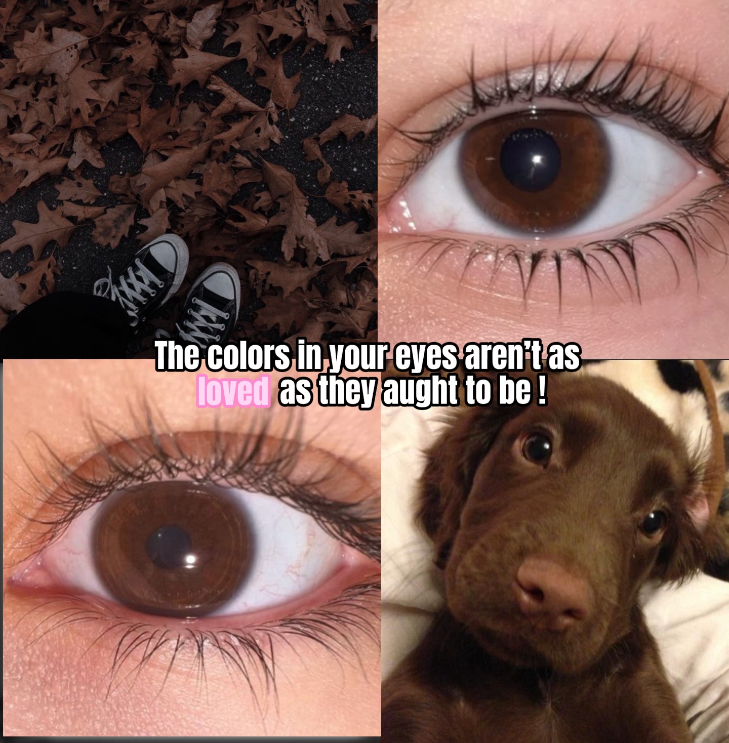 ¡¡Ojos marrones!!