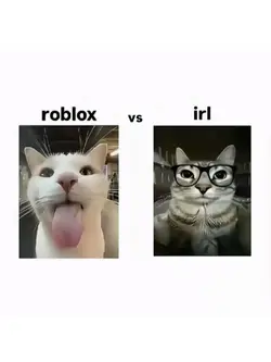 Roblox vs irl