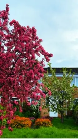     Blossom Vibes 🌸”