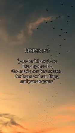Genesis 1:27