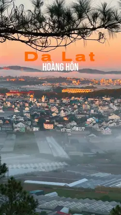 Hoàng hôn 🌅