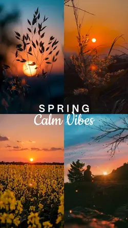 Spring Calm Vibes 