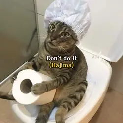 Don’t do it Meowjima