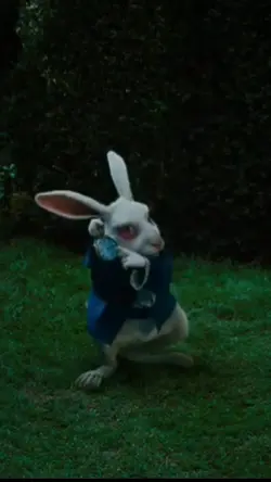 the white rabbit.