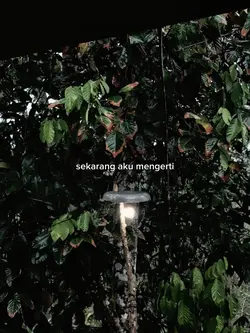 JANGAN TERLALU BAIK