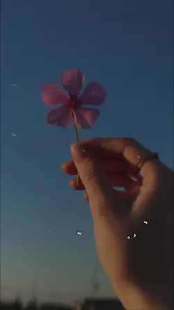 Bazen sadece bir anı yaşamak istiyorsun, değil mi?