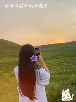 苏幕遮 - su mu zhe