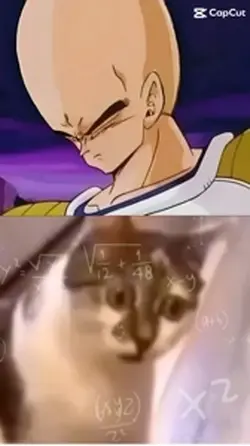 Un peu mathématiques