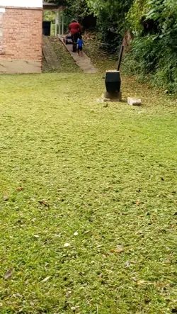 Grass cutting 