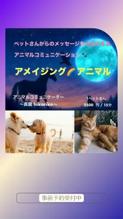 アニマル