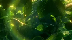 Natural Intro