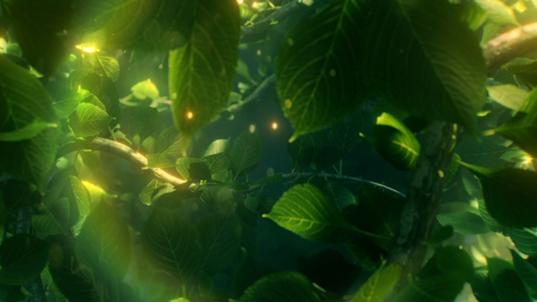 Intro naturelle