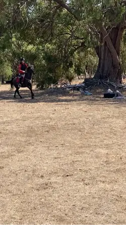 Old man jumping
