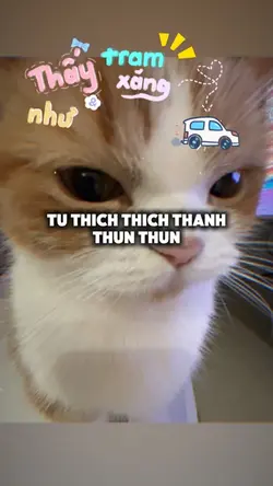 nen em danh viet