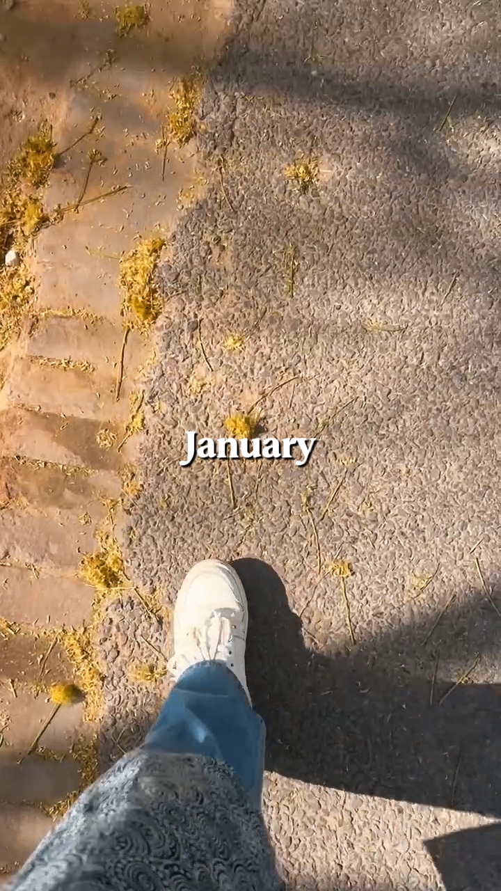 Enero - Diciembre