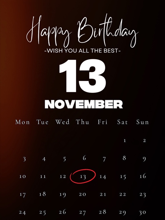 11월 13일 생일