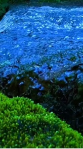 Yeni şablon 
