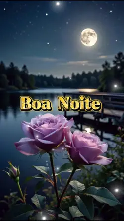 Modelo Boa Noite 