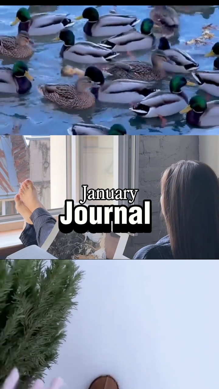 January journal 