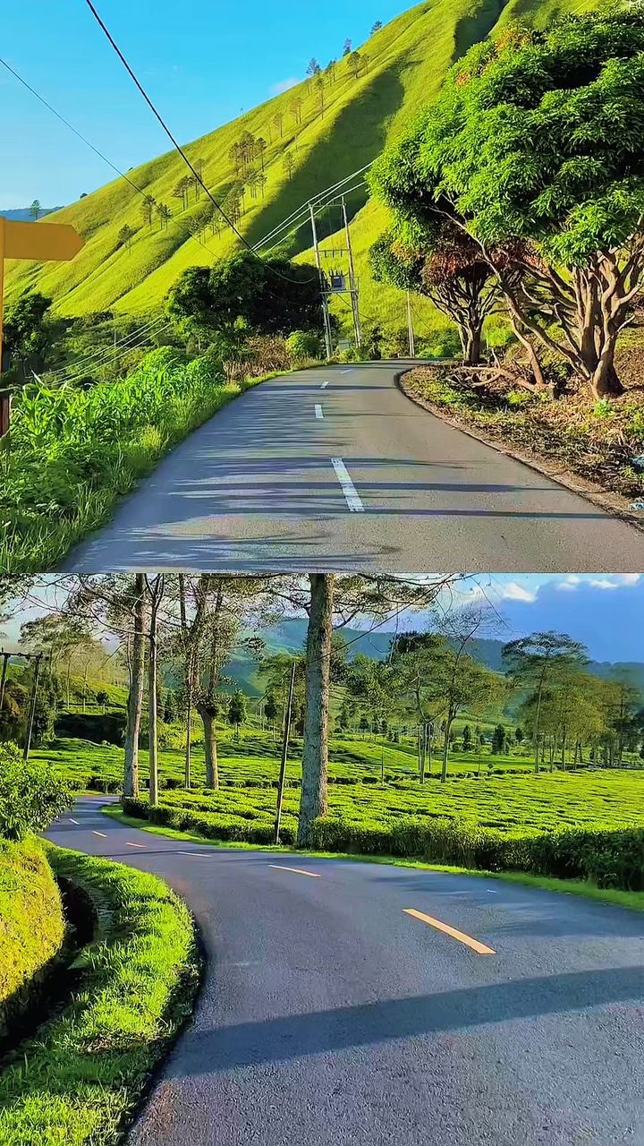 video collage