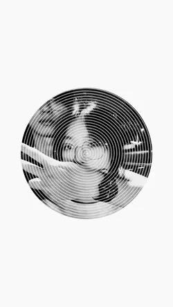 วอเปเปอร์ฮิต