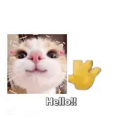 Hello!!