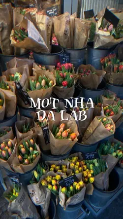 Một nhà 2 ảnh