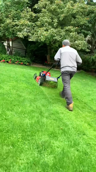 Gardening