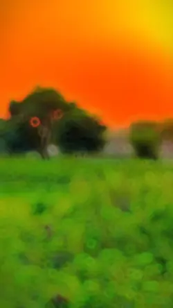 SLOWMO