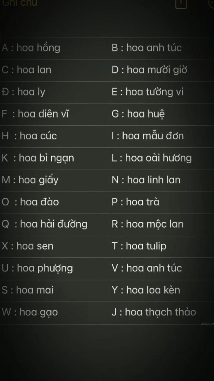 Tớ thích ngắm hoa 