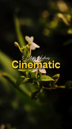 5 Videos Cinematic