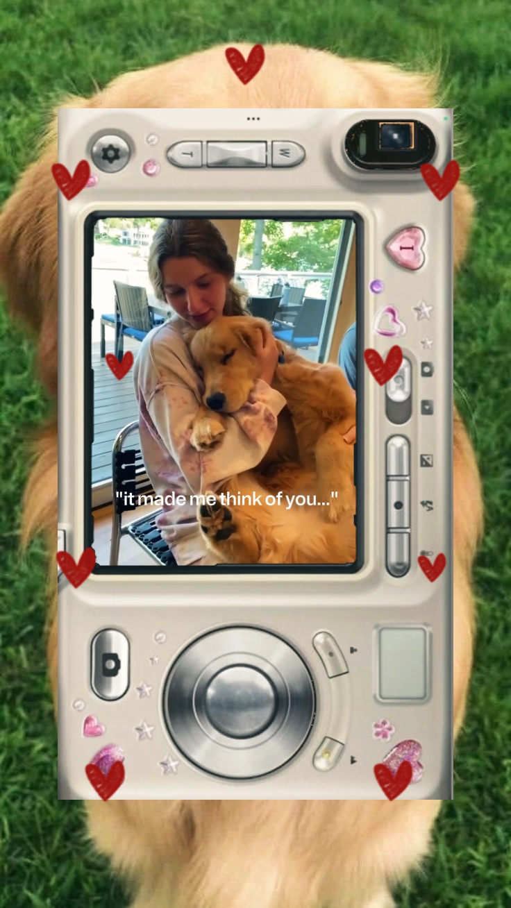 Mein Hund 